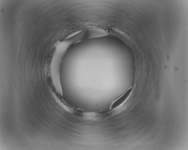 X0000081280192200701251637