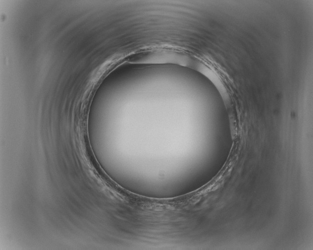 X0000081280193200701251636