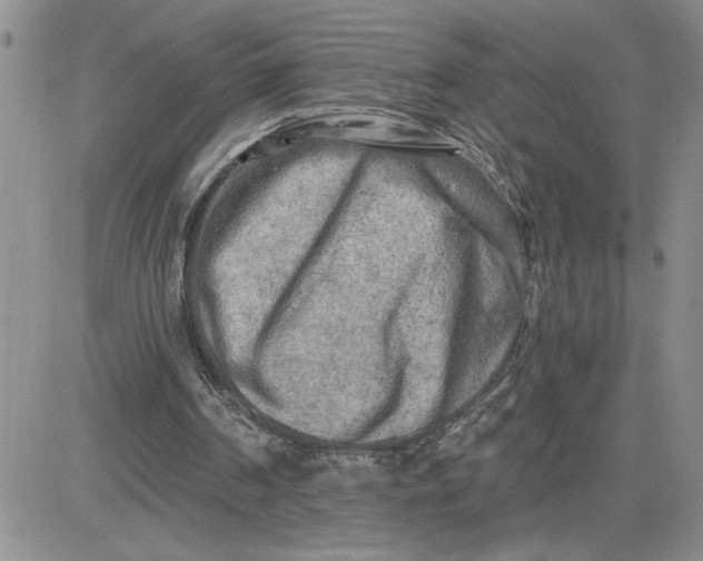 X0000081280194200701251636