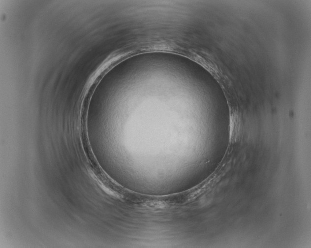 X0000081280195200701251636