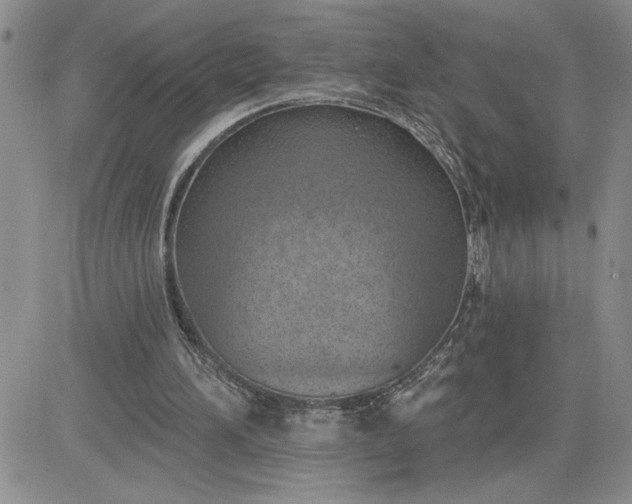 X0000081280196200701251636