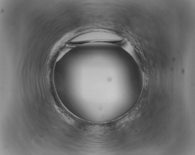 X0000081280197200701251636