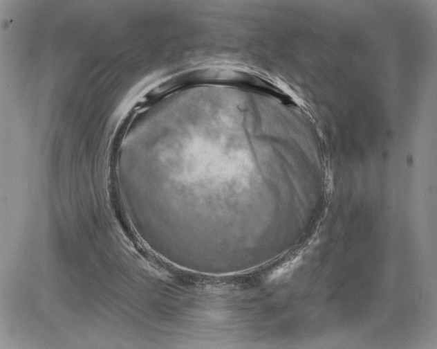 X0000081280199200701251636