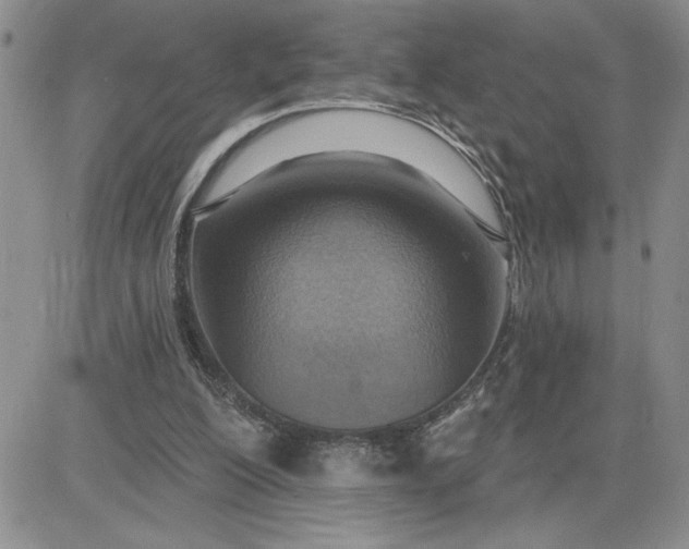 X0000081280200200701251636