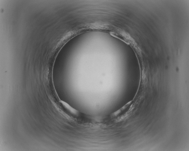 X0000081280201200701251636