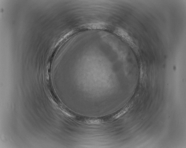 X0000081280202200701251636