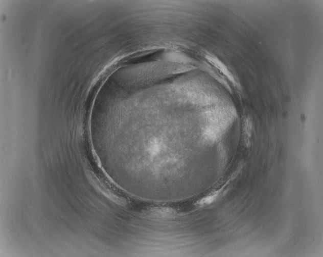 X0000081280203200701251636