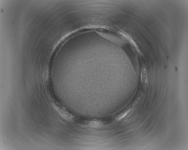 X0000081280204200701251636