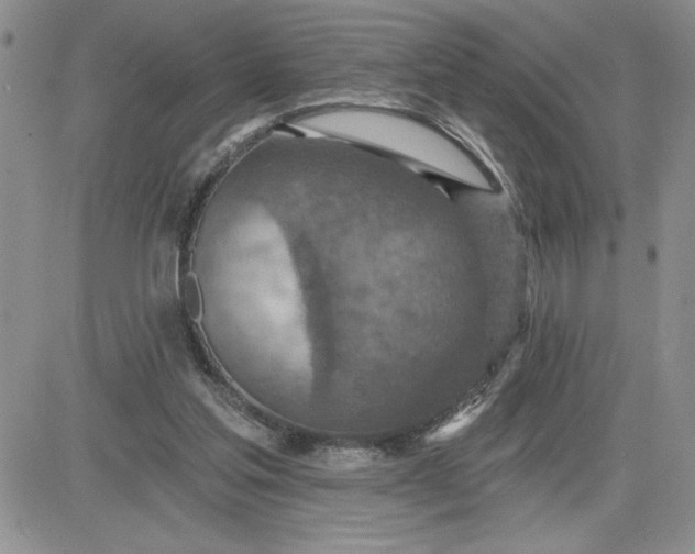 X0000081280205200701251636