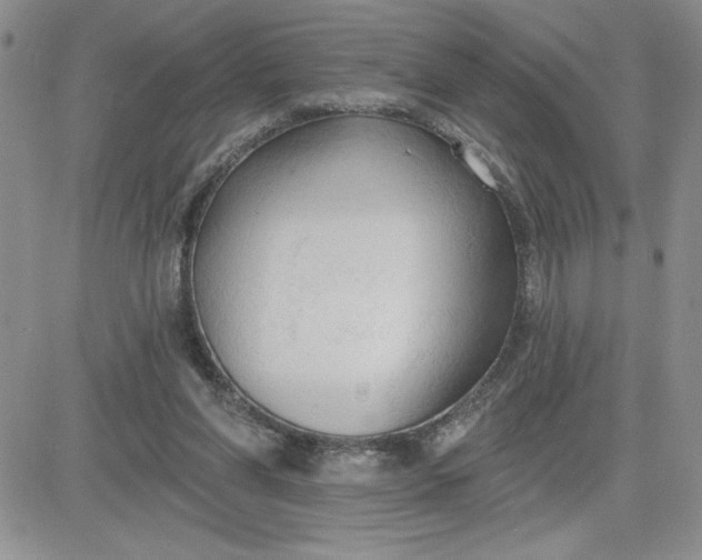 X0000081280206200701251636