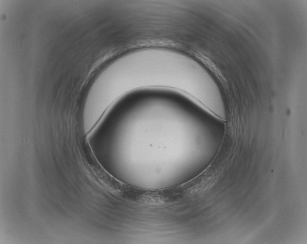 X0000081280207200701251636