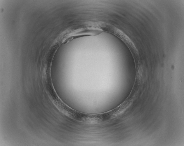 X0000081280209200701251636