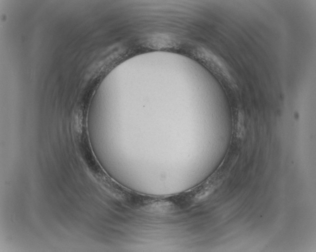 X0000081280210200701251636