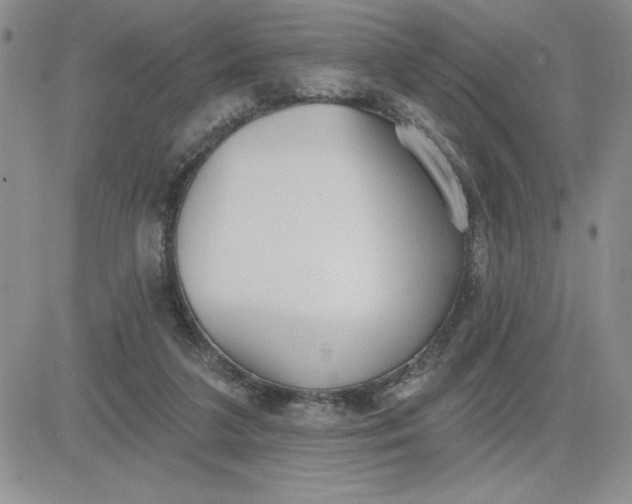 X0000081280211200701251636