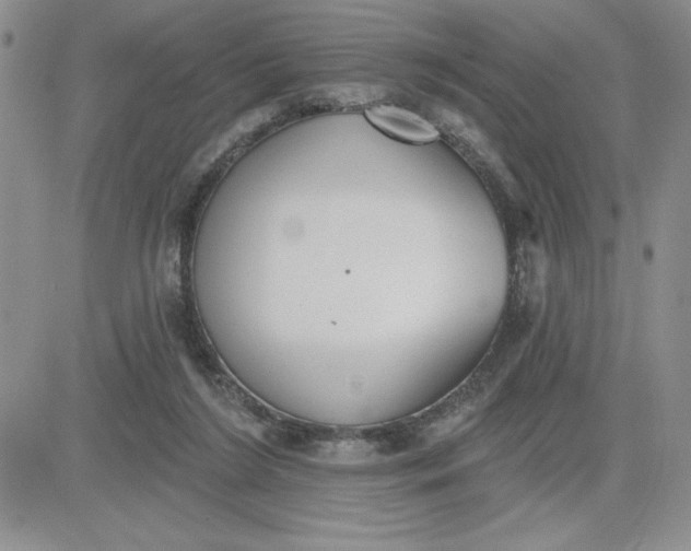 X0000081280212200701251636