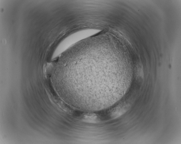 X0000081280214200701251636