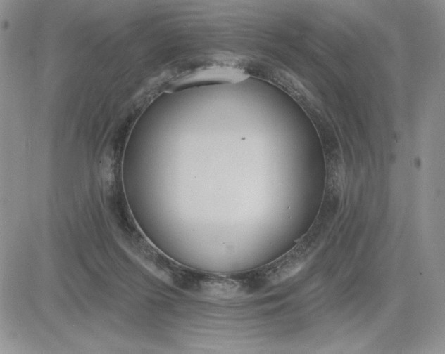 X0000081280215200701251636