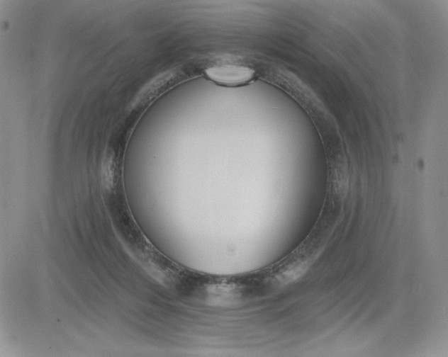 X0000081280216200701251636