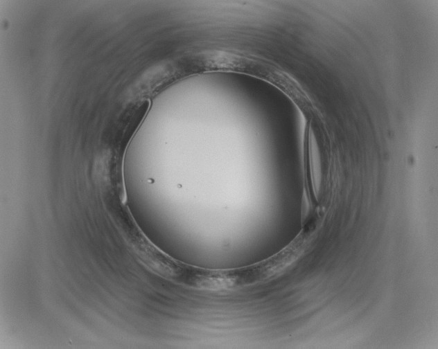 X0000081280217200701251636