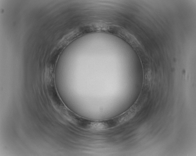 X0000081280218200701251636