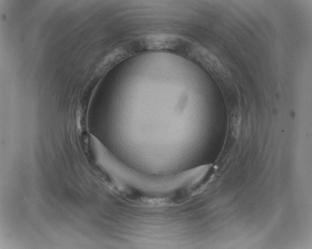 X0000081280219200701251636