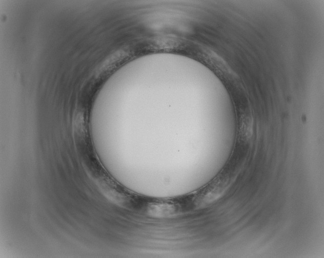 X0000081280220200701251636