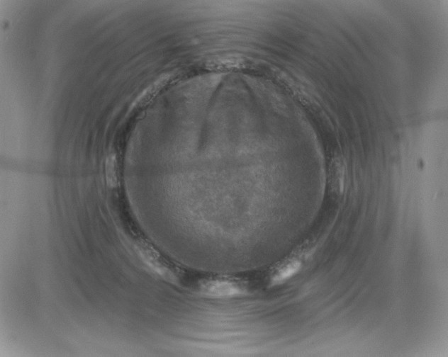 X0000081280224200701251636