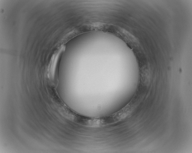 X0000081280225200701251636