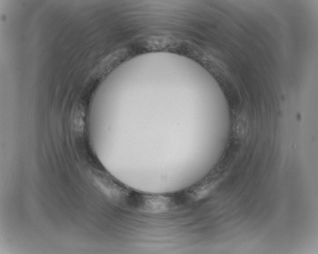 X0000081280226200701251636