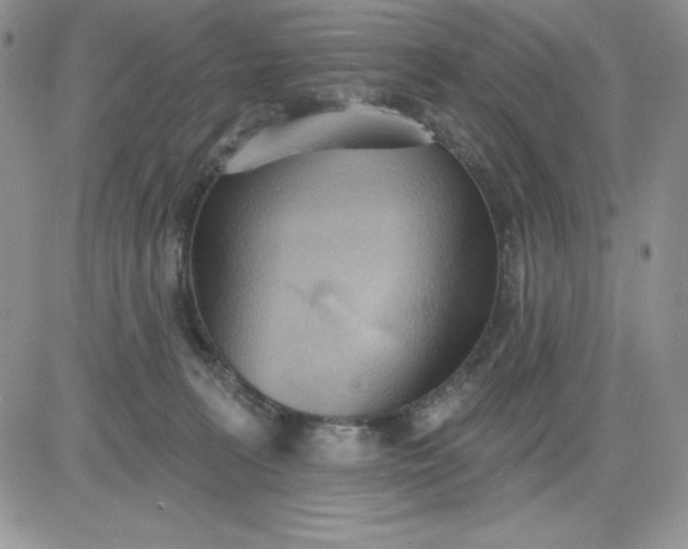 X0000081280227200701251636