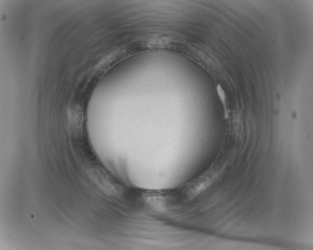 X0000081280228200701251636