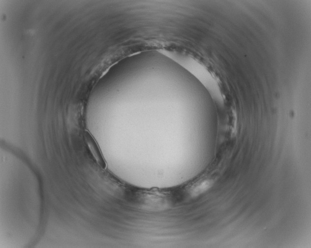 X0000081280229200701251636