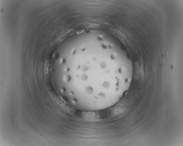 X0000081280230200701251636