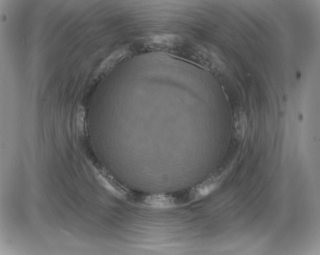 X0000081280231200701251636