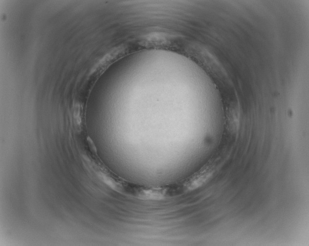 X0000081280232200701251636