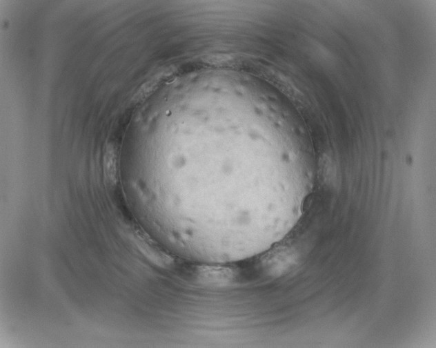 X0000081280234200701251636