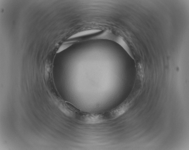 X0000081280235200701251636