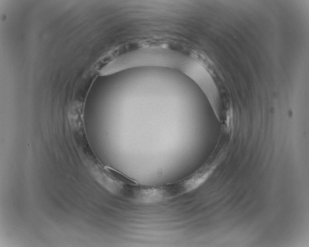 X0000081280237200701251636