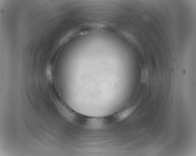 X0000081280238200701251636