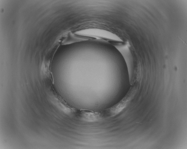 X0000081280239200701251636