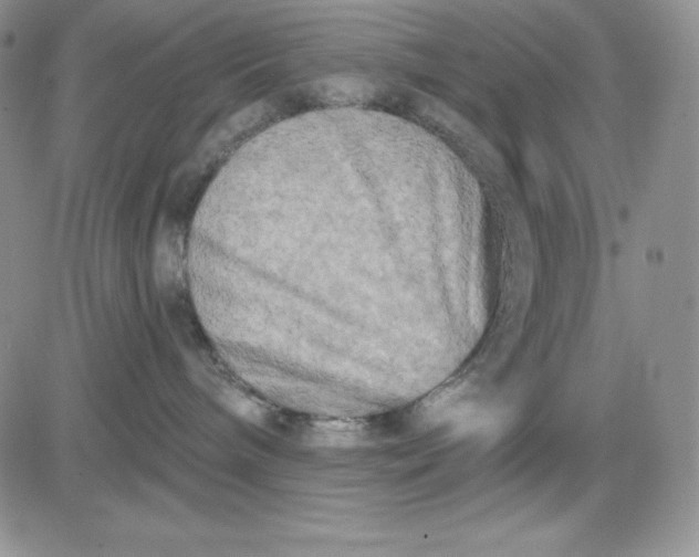 X0000081280240200701251636