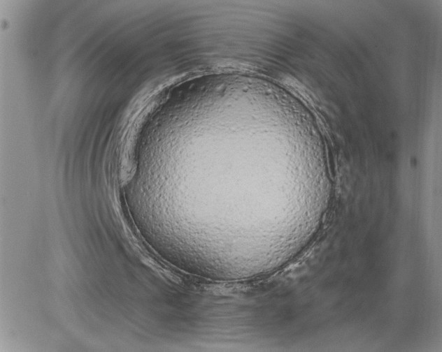 X0000081280241200701251635