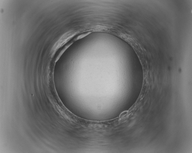 X0000081280242200701251635