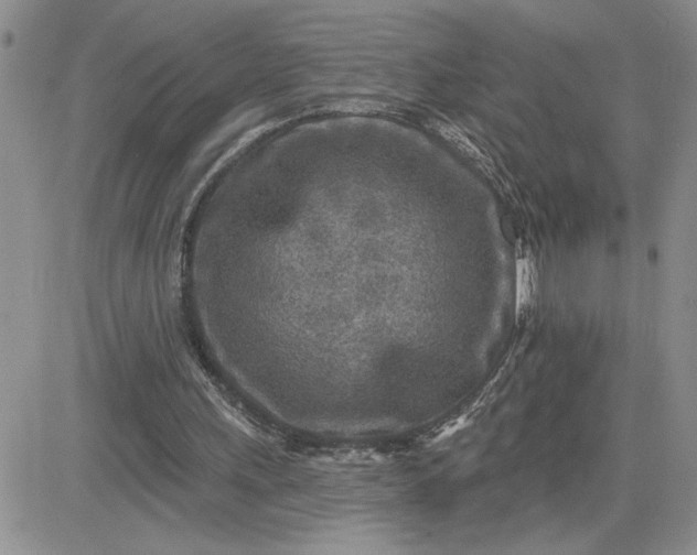 X0000081280243200701251635