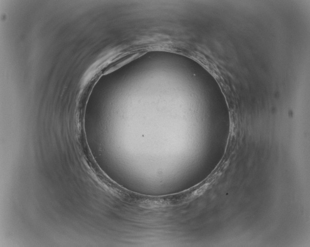 X0000081280245200701251635