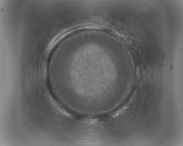 X0000081280247200701251635