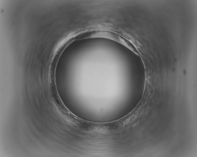 X0000081280248200701251635