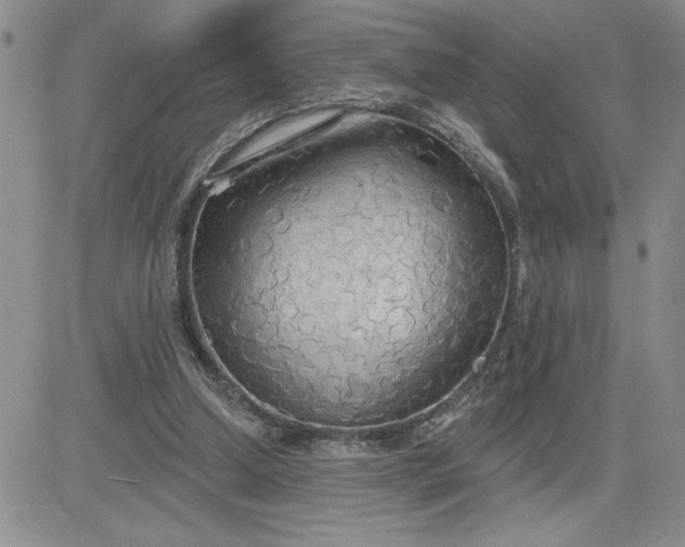 X0000081280250200701251635