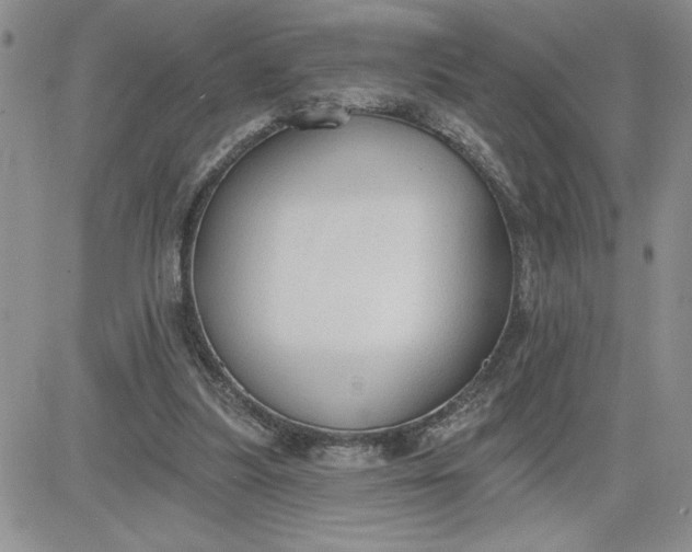 X0000081280251200701251635