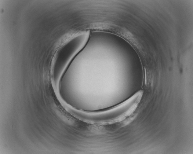 X0000081280252200701251635